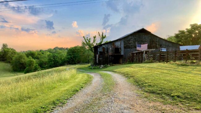 Katherine Tai Chastised By Farm State Senators Over Market Access, Free Trade Deals