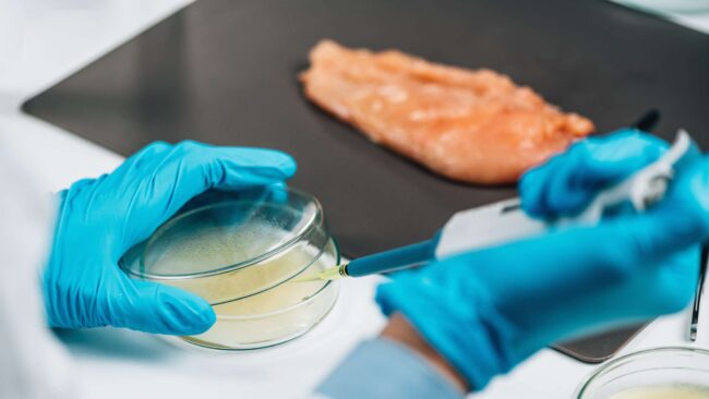 As Food Imports Rise, FDA Drops Ball on Food Inspections Worldwide