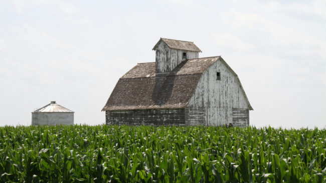 Rechenberg: Iowa Farms Have Suffered from Years of Free Trade Failures