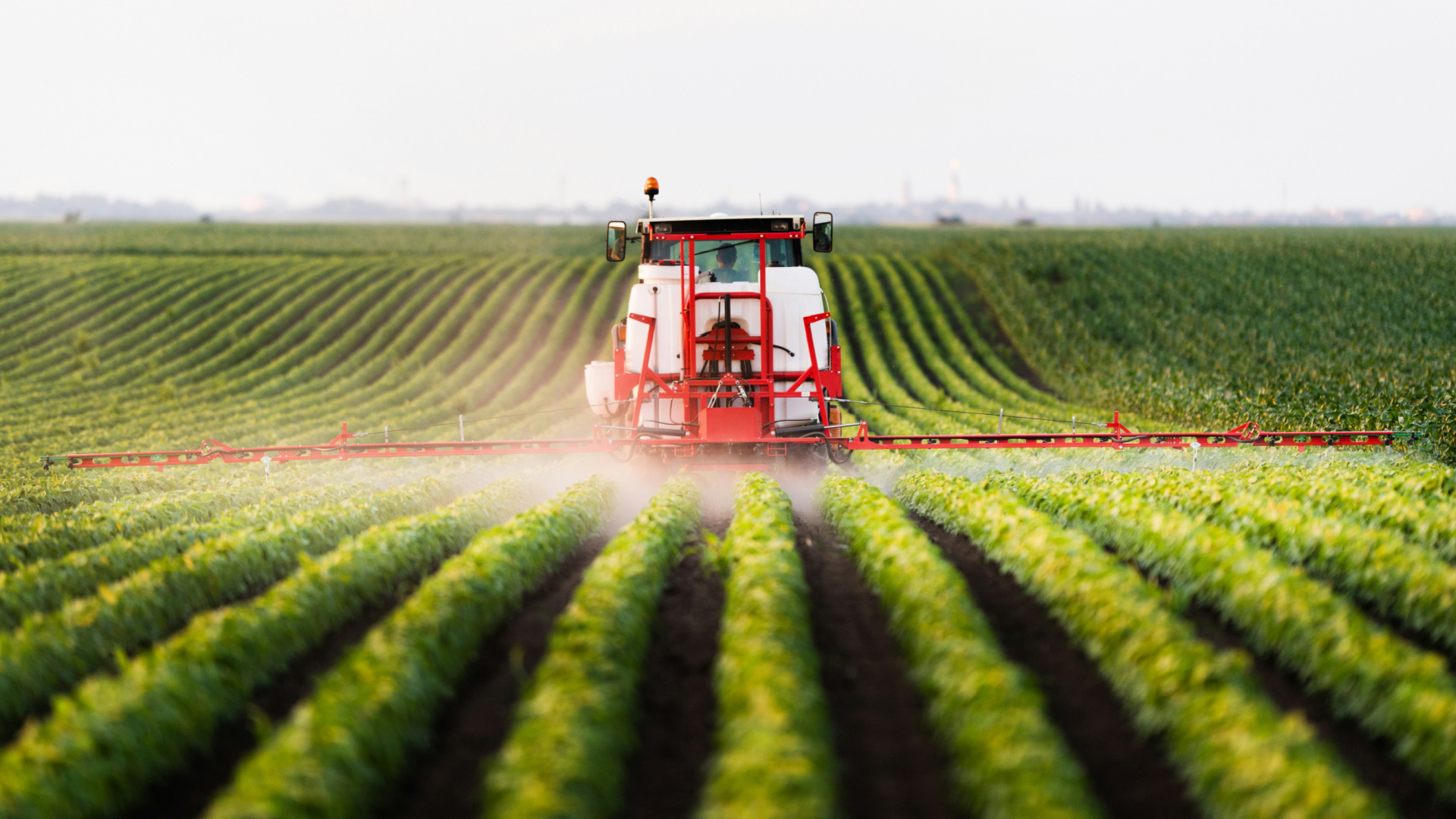Food Security Is Fertilizer Security